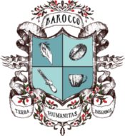 Barooca logo